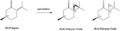 Thumbnail for version as of 15:57, 6 December 2013