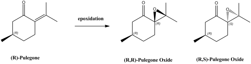 File:Pulegone alix.png