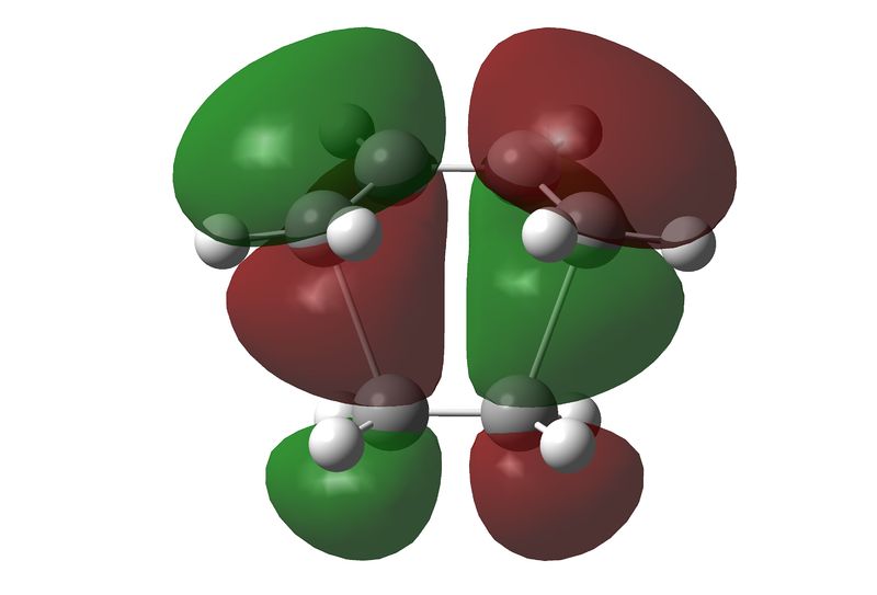 File:Mwh am1homo.jpg