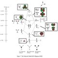 Thumbnail for version as of 17:33, 2 December 2010