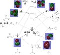 Thumbnail for version as of 15:50, 24 January 2014