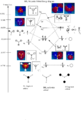 Thumbnail for version as of 15:22, 4 February 2011