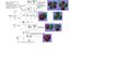 Thumbnail for version as of 14:35, 22 May 2019