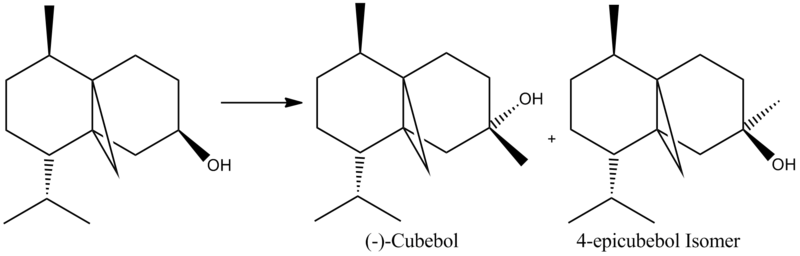 File:Cubebol isomerism.png