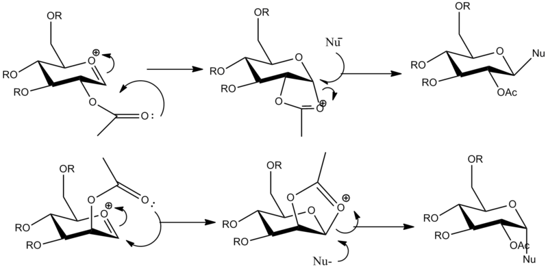 File:Glycosidationmechanismjgh.png