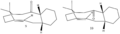 Thumbnail for version as of 14:22, 24 January 2011