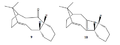 Thumbnail for version as of 22:06, 25 November 2010