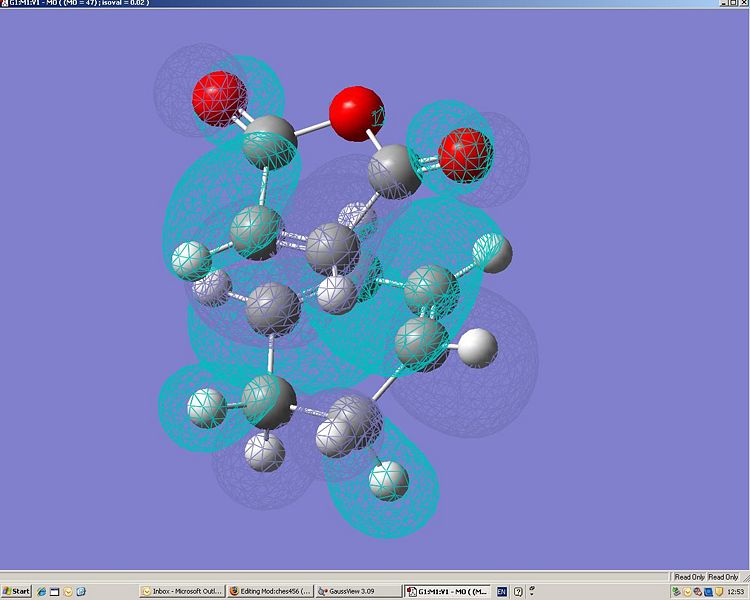 File:Malcyc endo homo.jpg