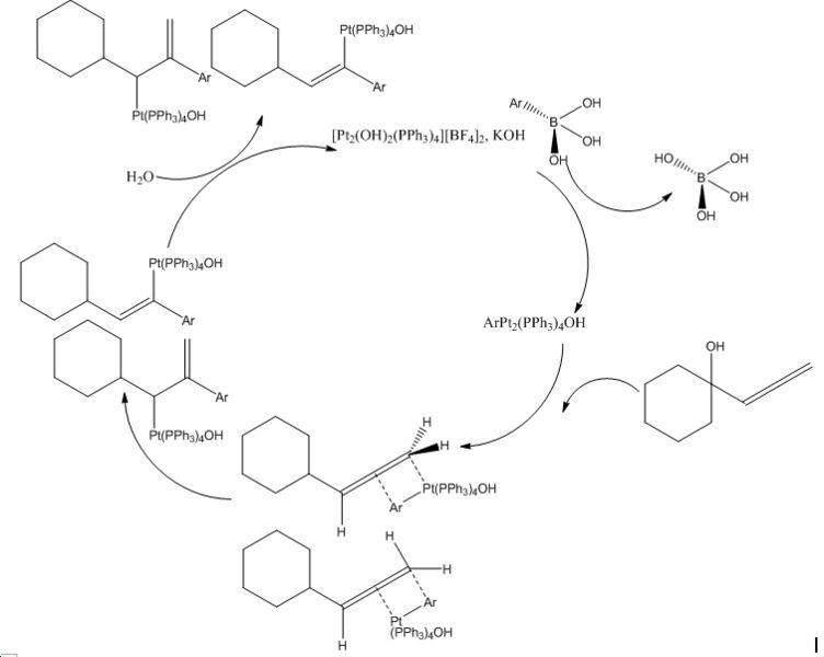 File:Catlyticcylecorrect.jpg
