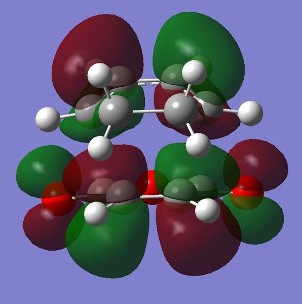 File:YhlMaleic endo lumo front.jpg