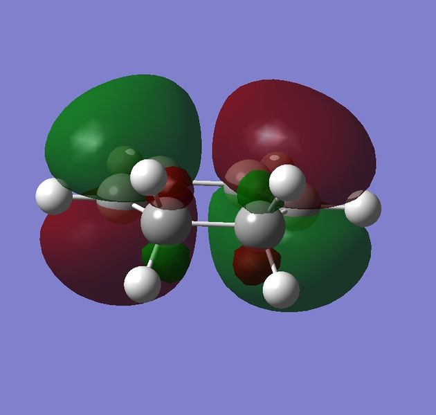 File:NEW HOMO AW.jpg