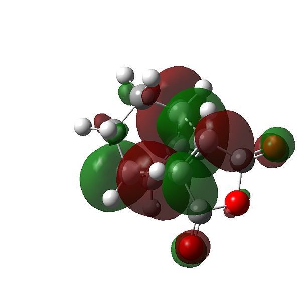 File:Ps507Endo homo2.jpg