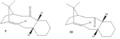 Thumbnail for version as of 17:00, 8 October 2013