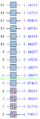 Thumbnail for version as of 15:20, 29 November 2011