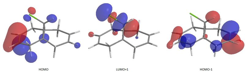 File:HOMOLUMOHOMOwiki.jpg