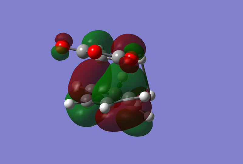 File:HOMO Endo TS.png