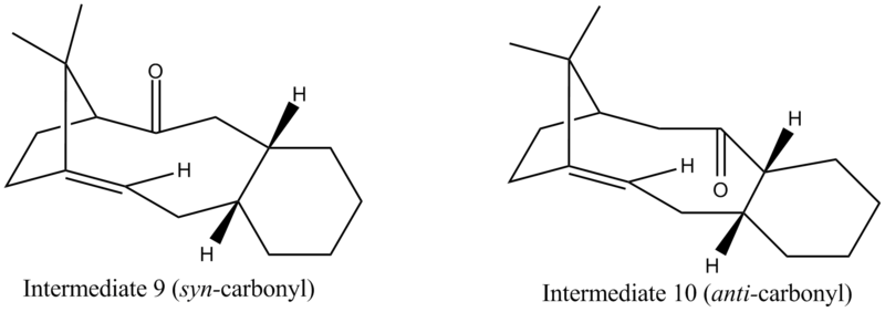 File:Taxolgc2109.png