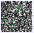 Thumbnail for version as of 16:51, 25 June 2009
