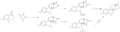 Thumbnail for version as of 00:40, 4 March 2011