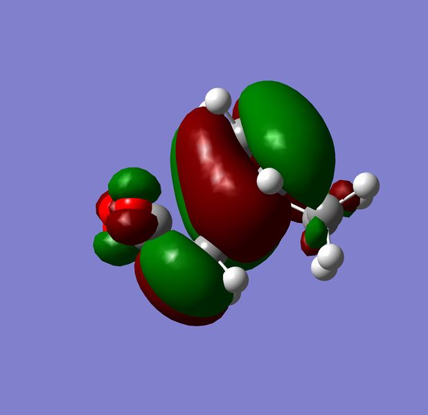 File:Rjw4 endo view 1 homo.jpg