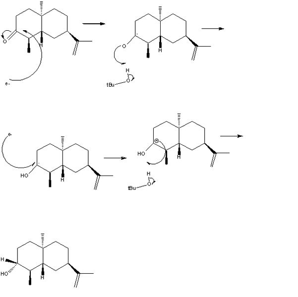 File:--Image-Mechanism.bmp--