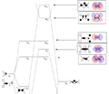 Thumbnail for version as of 08:48, 7 December 2010