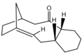 Thumbnail for version as of 16:05, 24 February 2011
