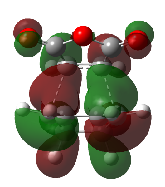 File:Jcl08EndoHOMO.png