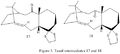 Thumbnail for version as of 17:41, 12 October 2013