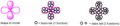 Thumbnail for version as of 13:48, 4 March 2015