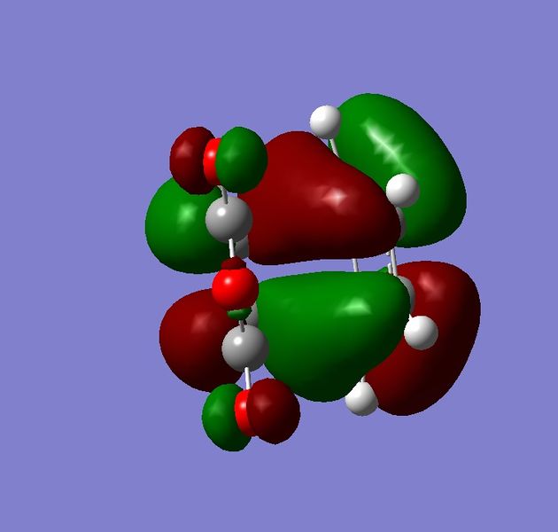 File:Endo HOMO TL.jpg