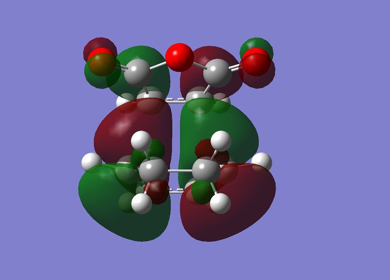 File:Exo HOMO.jpg