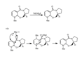 Thumbnail for version as of 00:05, 24 November 2010