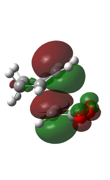 File:Endo AM1 HOMO-1 gc2109.jpg