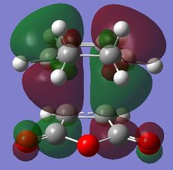 HOMO exo