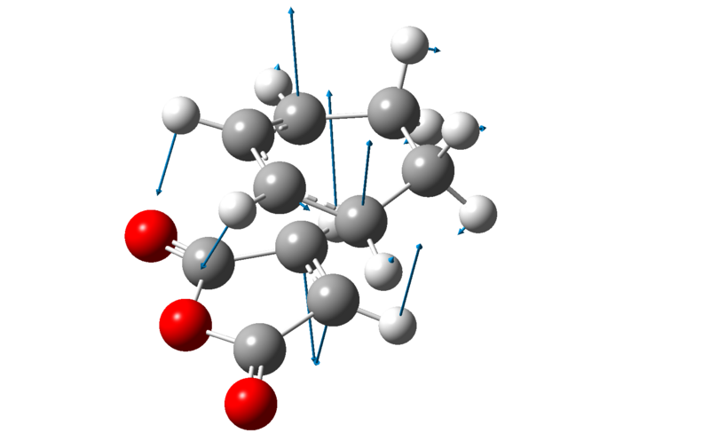 File:Wsc108 vibration endo am1.png