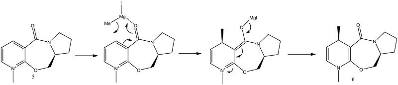 File:Molecule 5 alkylation b.jpg
