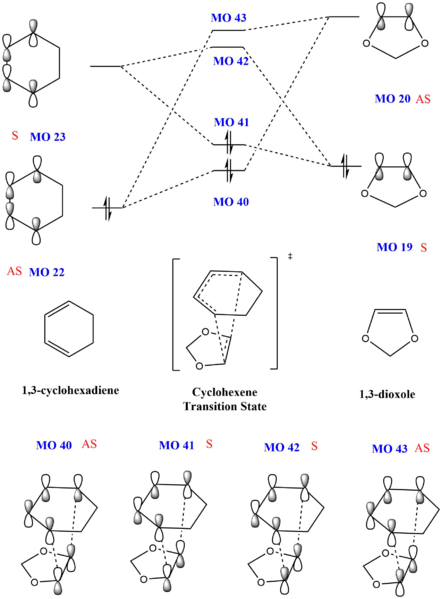 File:THY-TS Ex2 Endo MO.png