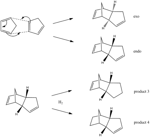 Reaction scheme for the dimerisation of cyclopentadiene and subsequent hydrogenation