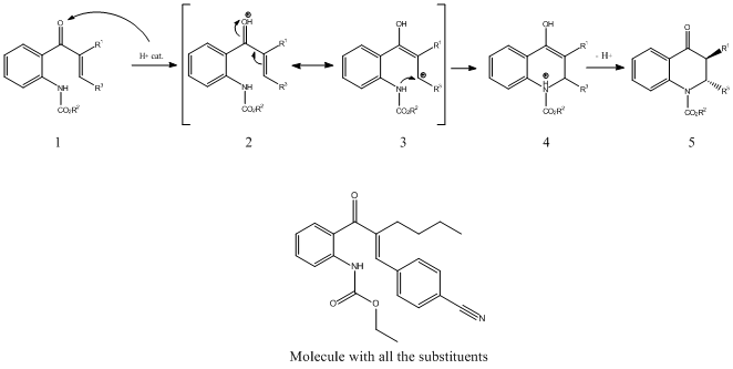 Mechanism of the aminocyclisation