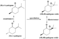 Thumbnail for version as of 10:16, 6 December 2013