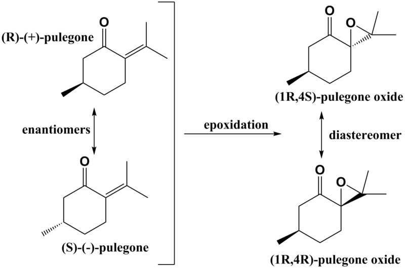 File:NF R-pulegone.png