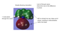 Thumbnail for version as of 15:40, 21 November 2013