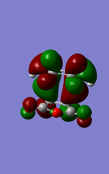 File:Exo homo 18th.jpg