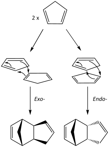 File:EndoExoformation.png