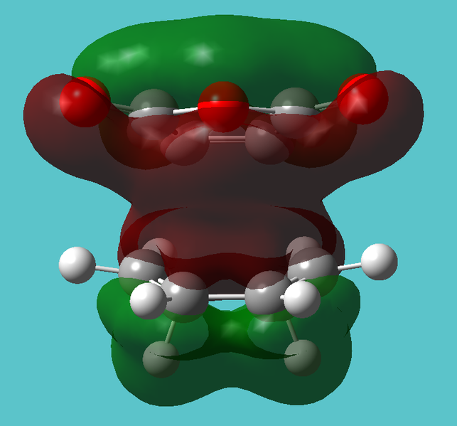 File:HOMO19endoram209.png