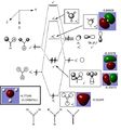 Thumbnail for version as of 14:19, 24 January 2014