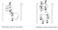 Thumbnail for version as of 17:31, 3 December 2012