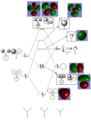 Thumbnail for version as of 12:23, 14 November 2014
