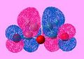 Thumbnail for version as of 19:21, 11 December 2010